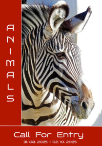 International Art Competition Animals, August 31 2025 through February 10 2025